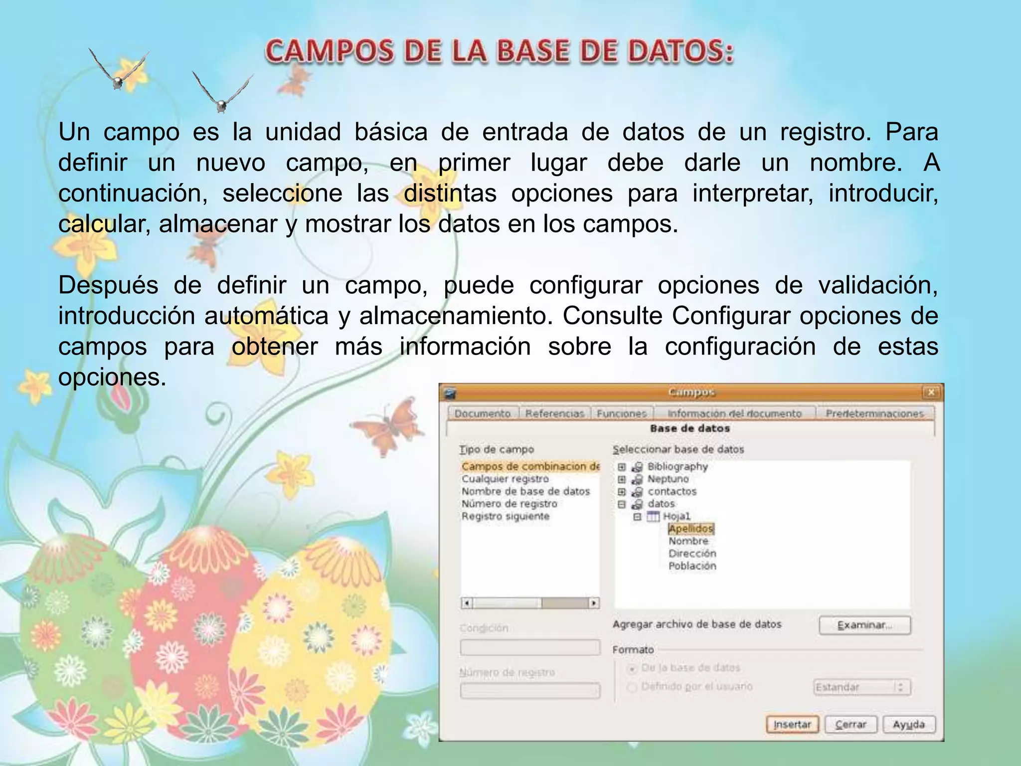 Un campo es la unidad básica de entrada de datos de un registro. Para
definir un nuevo campo, en primer lugar debe darle un nombre. A
continuación, seleccione las distintas opciones para interpretar, introducir,
calcular, almacenar y mostrar los datos en los campos.
Después de definir un campo, puede configurar opciones de validación,
introducción automática y almacenamiento. Consulte Configurar opciones de
campos para obtener más información sobre la configuración de estas
opciones.
 