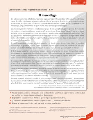 Unidad 1
Lee el siguiente texto y responde las actividades 7 a 10.
El murciélago
De hábitos nocturnos, dotado de una amplia capa que le permite volar bajo la fría luz de las estrellas y
capaz de oír los más inapreciables estímulos acústicos. Semejante descripción no alude a ningún ser
sobrenatural, aunque como tal haya sido considerado en muchos lugares. Se trata simplemente del
murciélago, singular mamífero de gran interés para la investigación zoológica.
Los murciélagos son mamíferos voladores del grupo de los quirópteros1
, por lo general de reducidas
dimensiones y caracterizados por poseer una fina membrana, denominada “patagio”, que se extiende
entre las extremidades y el tronco del animal y los capacita para desplazarse en el medio aéreo. Para
sustentar dicha membrana y permitir que se despliegue en toda su longitud, las falanges de los dedos
delasextremidadesanterioreshanexperimentadounalargamientoalolargodelaevoluciónyofrecen
el aspecto de finas varillas.
El pelaje es pardo o grisáceo, según la especie, y la dentición es de tipo insectívoro, si bien hay
murciélagos frugívoros2
y otros, como ocurre en algunos distribuidos por Sudamérica, que pre-
sentan una dieta “ictiófaga” (se alimentan de pescado) e incluso que se nutren de néctar.
El dedo pulgar es corto y sobresale del patagio y acaba en una uña con la que el murciélago trepa o
se cuelga cabeza abajo cuando se halla en reposo. Al llegar la estación fría, las especies que viven en
zonas septentrionales permanecen en hibernación3
, y se guarecen en lugares apartados y oscuros,
como cuevas, edificios abandonados, oquedades de árboles, etc.
Eláreadedistribucióndelosmurciélagoscomprenderegionesdeclimascálidosytemplados,tantoen
elhemisferionortecomoenelsur.Además,sonensumayoríadehábitoscrepusculares4
  onocturnos
y cazan a sus diminutas presas en la oscuridad mediante el sistema denominado “ecolocación”.
Taltécnicaespecializadaconsisteenlaemisióndesonidosdeelevadafrecuencia(ultrasonidos),inaudi-
blesparaelhombre,quealrebotarenuninsectoquevuelaysercaptadosporunosórganoslaminares
de los pabellones auditivos los informan de la situación de la presa. De ahí el vuelo aparentemente
errabundo y caótico que estos animales muestran.
Entre las especies más conocidas están el murciélago común (Pipistrellus pipistrellus), abundante en
Eurasia;losdeámbitonorteamericanooriental(Pipistrellussubflavus)yoccidental(Pipistrellushesperus),
y los de ámbito sudamericano, como el murciélago “coludo” o “guanero” (Tadarida brasilensis).
“El murciélago”. Enciclopedia de Zoología, recuperado el 19 de marzo de 2013, de	
http://www.entradagratis.com/Enciclopedia-de-Zoologia/7797/Murcielago-pag.2.htm
1 	 Tipo de mamífero cuyas extremidades superiores se desarrolla-
ron como alas.
2	 Es decir, que se alimentan de frutas.
3	 Estado fisiológico de algunos mamíferos, usado para adaptarse a
condiciones invernales extremas, en el que su temperatura baja y
sus funciones metabólicas disminuyen.
4	De “crepúsculo”: atardecer.
7.	Revisa las seis palabras subrayadas en el texto anterior y defínelas a partir de su contexto. Lue-
go, verifica tus respuestas consultando el diccionario.
8.	Explica tres características del texto que indiquen que es informativo.
9.	¿Qué significa la expresión “hábitos crepusculares”?, ¿cómo lo descubriste?
10.	 Marca, al margen del texto, cada parte de su estructura básica.
Recuerdaqueloscontenidosdelossitioswebpuedencambiar.
37Lenguaje y Comunicación 7º básico
 