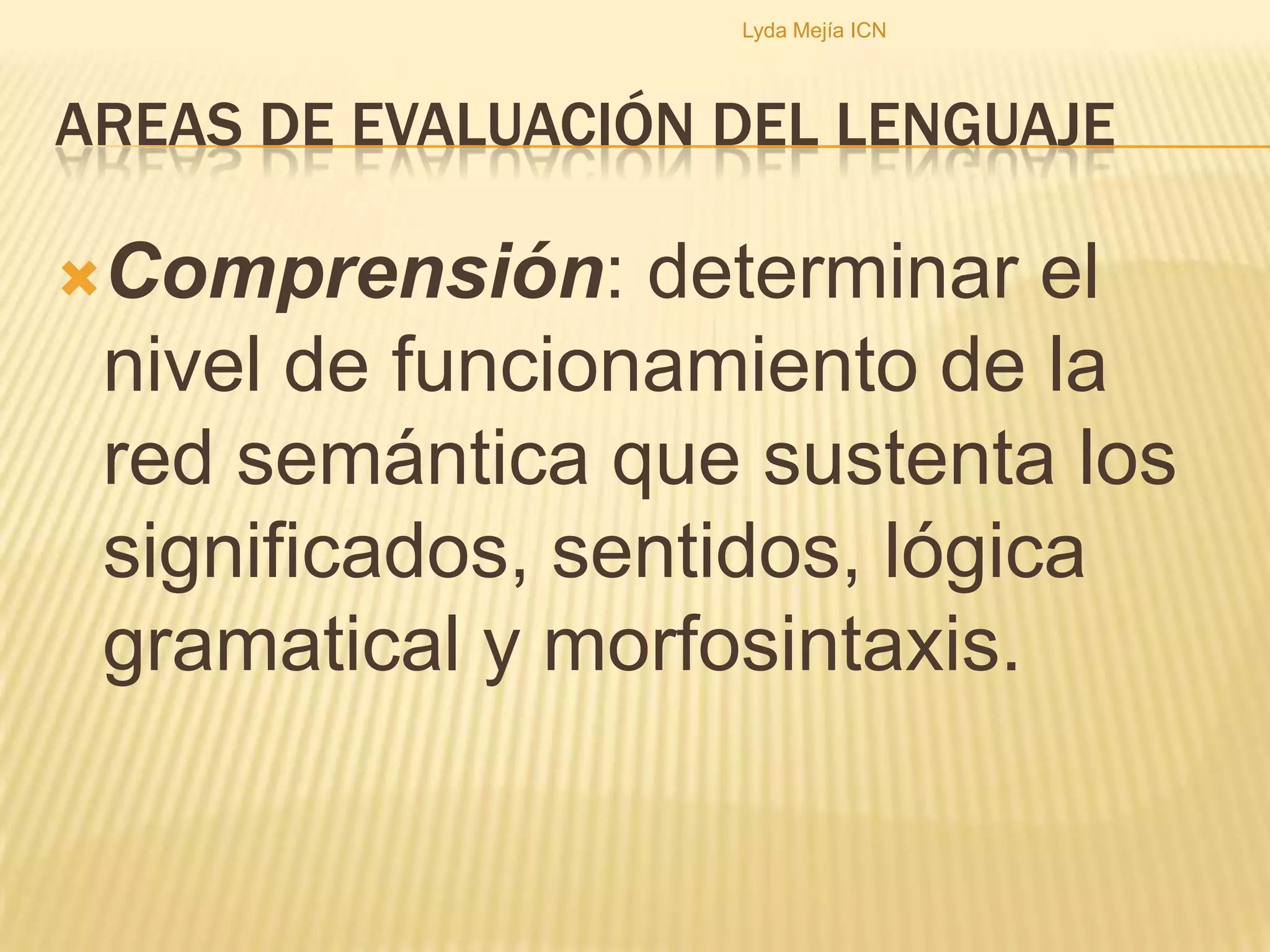 Áreas de evaluación del lenguajeLyda Mejía ICN