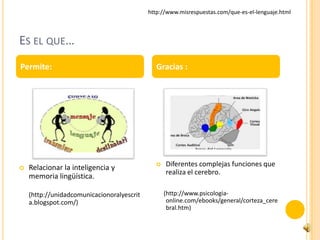 http://www.misrespuestas.com/que-es-el-lenguaje.html



ES EL QUE…
Permite:                                       Gracias :




   Relacionar la inteligencia y                 Diferentes complejas funciones que
                                                  realiza el cerebro.
    memoria lingüística.

    (http://unidadcomunicacionoralyescrit         (http://www.psicologia-
    a.blogspot.com/)                               online.com/ebooks/general/corteza_cere
                                                   bral.htm)
 