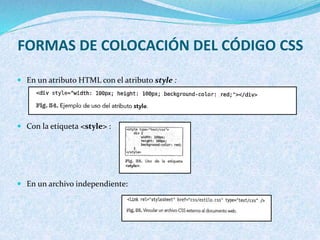 Conceptos básicos HTML | PPTX