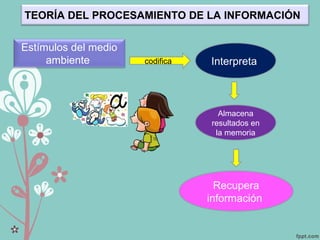 Interpreta
Almacena
resultados en
la memoria
Recupera
información
Estímulos del medio
ambiente codifica
TEORÍA DEL PROCESAMIENTO DE LA INFORMACIÓN
 