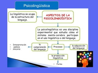 Psicolingüística
 