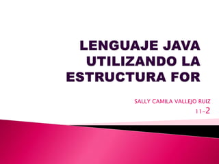 SALLY CAMILA VALLEJO RUIZ
                   11-2
 