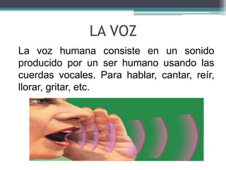 LA VOZ 
La voz humana consiste en un sonido 
producido por un ser humano usando las 
cuerdas vocales. Para hablar, cantar, reír, 
llorar, gritar, etc. 
 