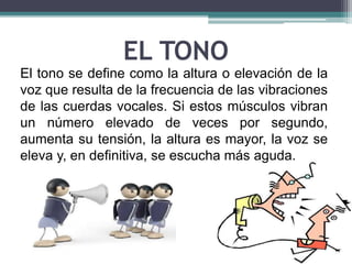 EL TONO 
El tono se define como la altura o elevación de la 
voz que resulta de la frecuencia de las vibraciones 
de las cuerdas vocales. Si estos músculos vibran 
un número elevado de veces por segundo, 
aumenta su tensión, la altura es mayor, la voz se 
eleva y, en definitiva, se escucha más aguda. 
 