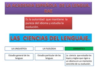 Es la autoridad que mantiene la
pureza del idioma y estudia la
evolución.
LA LINGUISTICA LA FILOLOGIA GRAMATICA
Estudio general de las
lenguas
Estudio particular de las
lenguas
La ciencia que estudia las
leyes y reglas que rigen a
un idioma en un momento
concreto de su evolución.
 