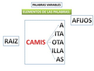 PALABRAS VARIABLES
ELEMENTOS DE LAS PALABRAS:
 