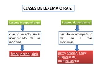 CLASES DE LEXEMA O RAIZ
Lexema independiente Lexema dependiente
cuando va sólo, sin ir
acompañado de un
morfema
árbol, pared, lápiz
cuando va acompañado
de uno o más
morfemas
perro, sobrino, bailar
submarinista,
multimillonario
 