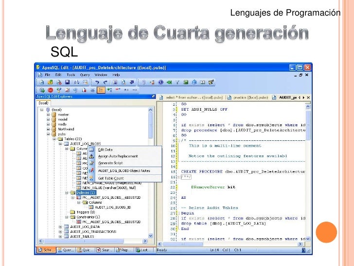 Lenguajes De Programacion