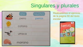 Singulares y plurales
Realizaremos el ejercicio
de la página 59 del texto
escolar
 