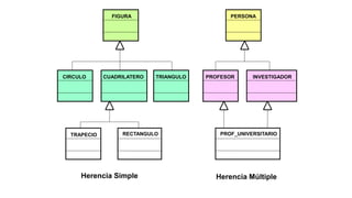 FIGURA
CIRCULO CUADRILATERO TRIANGULO
RECTANGULO
TRAPECIO
PERSONA
PROFESOR INVESTIGADOR
PROF_UNIVERSITARIO
Herencia Simple Herencia Múltiple
 
