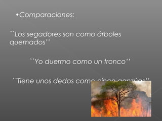 •Comparaciones:
``Los segadores son como árboles
quemados’’
``Yo duermo como un tronco’’
``Tiene unos dedos como cinco ganzúas’’

 