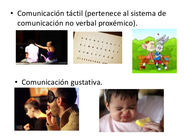 Ejemplos Del Lenguaje Tactil