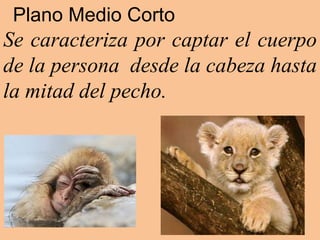 Plano Medio Corto
Se caracteriza por captar el cuerpo
de la persona desde la cabeza hasta
la mitad del pecho.
 
