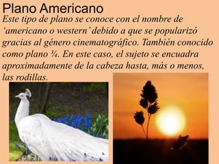 Plano Americano
Este tipo de plano se conoce con el nombre de
‘americano o western’debido a que se popularizó
gracias al género cinematográfico. También conocido
como plano ¾. En este caso, el sujeto se encuadra
aproximadamente de la cabeza hasta, más o menos,
las rodillas.
 