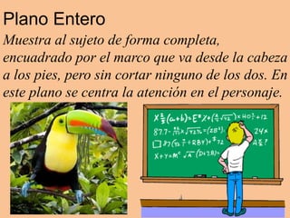 Plano Entero
Muestra al sujeto de forma completa,
encuadrado por el marco que va desde la cabeza
a los pies, pero sin cortar ninguno de los dos. En
este plano se centra la atención en el personaje.
 