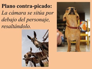 Plano contra-picado:
La cámara se sitúa por
debajo del personaje,
resaltándolo.
 