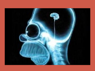 Comunicación visual