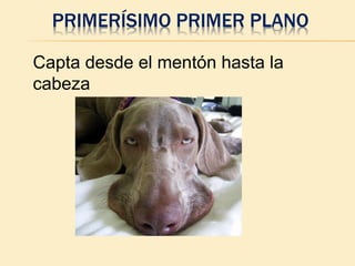 PRIMERÍSIMO PRIMER PLANO
Capta desde el mentón hasta la
cabeza
 