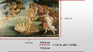 278,5 cm
172,5 cm 278,5 cm
172,5 cm
= 1,61 phi = 1,6180…~~
 