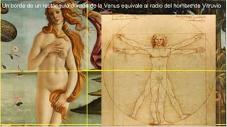Un borde de un rectángulo dorado de la Venus equivale al radio del hombre de Vitruvio
 