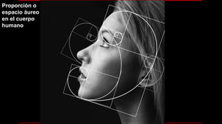 Proporción o
espacio áureo
en el cuerpo
humano
 