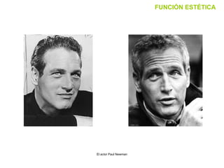El actor Paul Newman FUNCIÓN ESTÉTICA 