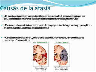 Causas de la afasia - El cerebro depende por completo del oxigeno que aporta el torrente sanguíneo, las células cerebrales mueren si se les priva de oxigeno durante algunos minutos . Existen muchos accidentes cerebro-vasculares que pueden dar lugar a ello y que explican en torno a un 85% en todos los casos de afasia.  - Otras causas de afasia incluyen ciertas clases de tumor cerebral, enfermedades del cerebro y daño traumático.  