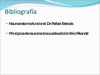 Bibliografía Neuroanatomía funcional Dr.Rafael Estrada Principios de neurociencia cuarta edición Eric Rkandel  