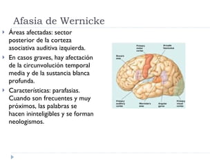Afasia de Wernicke Áreas afectadas: sector posterior de la corteza asociativa auditiva izquierda. En casos graves, hay afectación de la circunvolución temporal media y de la sustancia blanca profunda.  Características: parafasias. Cuando son frecuentes y muy próximos, las palabras se hacen ininteligibles y se forman neologismos. 