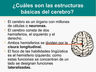 ¿Cuáles son las estructuras
básicas del cerebro?
• El cerebro es un órgano con millones
de células o neuronas.
• El cerebro consta de dos
hemisferios, el izquierdo y el
derecho.
• Ambos hemisferios se dividen por la
cisura longitudinal.
• El foco de las habilidades lingüística
es el hemisferio izquierdo; como
estas funciones se concentran de un
lado se designan funciones
lateralizadas.
 