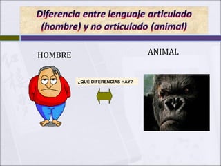 ANIMAL

HOMBRE
¿QUÉ DIFERENCIAS HAY?

 