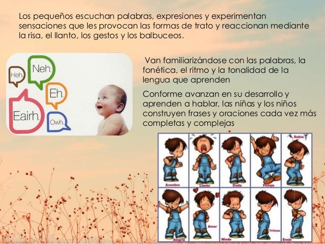 Campo Formativo Lenguaje Y Comunicacion Tados
