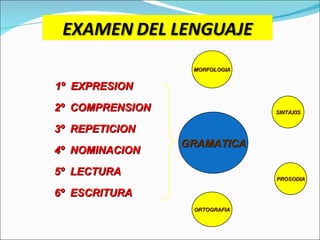 1º  EXPRESION   2º  COMPRENSION 3º  REPETICION 4º  NOMINACION 5º  LECTURA 6º  ESCRITURA GRAMATICA MORFOLOGIA ORTOGRAFIA SINTAXIS PROSODIA 