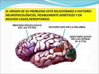 EL ORIGEN DE SU PROBLEMA ESTÁ RELACIONADO A FACTORES NEUROPSICOLÓGICOS, POSIBLEMENTE GENÉTICOS Y EN MUCHOS CASOS,HEREDITARIOS. 