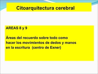 Citoarquitectura cerebral AREAS 8 y 9 Áreas del recuerdo sobre todo como  hacer los   movimientos de dedos y manos  en la  e scritura   (centro de Exner)   