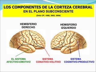 LOS COMPONENTES DE LA CORTEZA CEREBRAL   EN EL PLANO SUBCONSCIENTE (Ortiz CP, 1998, 2002, 2004) HEMISFERIO DERECHO HEMISFERIO IZQUIERDO EL SISTEMA AFECTIVO-EMOTIVO SISTEMA  COGNITIVO-PRODUCTIVO SISTEMA  CONATIVO-VOLITIVO 