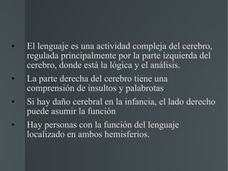 El lenguaje es una actividad compleja del cerebro, regulada principalmente por la parte izquierda del cerebro, donde está la lógica y el análisis. La parte derecha del cerebro tiene una comprensión de insultos y palabrotas Si hay daño cerebral en la infancia, el lado derecho puede asumir la función Hay personas con la función del lenguaje localizado en ambos hemisferios. 