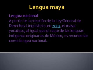 Lengua nacional
A partir de la creación de la Ley General de
Derechos Lingüísticos en 2003, el maya
yucateco, al igual que el resto de las lenguas
indígenas originarias de México, es reconocido
como lengua nacional.
 