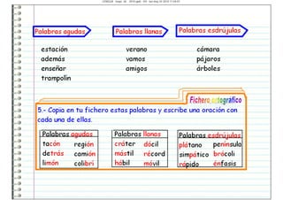 LENGUA mayo 26   2010.gwb - 4/4 - lun may 24 2010 11:04:01
 