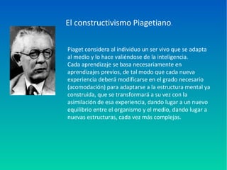 El constructivismo Piagetiano.
Piaget considera al individuo un ser vivo que se adapta
al medio y lo hace valiéndose de la inteligencia.
Cada aprendizaje se basa necesariamente en
aprendizajes previos, de tal modo que cada nueva
experiencia deberá modificarse en el grado necesario
(acomodación) para adaptarse a la estructura mental ya
construida, que se transformará a su vez con la
asimilación de esa experiencia, dando lugar a un nuevo
equilibrio entre el organismo y el medio, dando lugar a
nuevas estructuras, cada vez más complejas.
 
