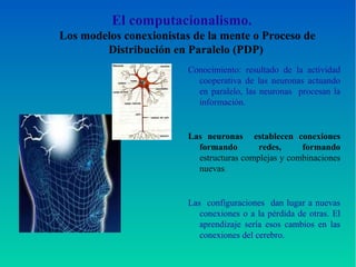 El computacionalismo.
Los modelos conexionistas de la mente o Proceso de
Distribución en Paralelo (PDP)
Conocimiento: resultado de la actividad
cooperativa de las neuronas actuando
en paralelo, las neuronas procesan la
información.
Las neuronas establecen conexiones
formando redes, formando
estructuras complejas y combinaciones
nuevas.
Las configuraciones dan lugar a nuevas
conexiones o a la pérdida de otras. El
aprendizaje sería esos cambios en las
conexiones del cerebro.
 