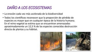 DAÑO A LOS ECOSISTEMAS
• La erosión cada vez más acelerada de la biodiversidad
• Todos los científicos reconocen que la proporción de pérdida de
especies es mayor que en cualquier época de la historia humana.
En el reino vegetal se estima que se encuentran amenazadas
aproximadamente un 12,5 % de las especies conocidas destrucción
directa de plantas y su hábitat.
 