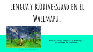 lengua y biodiversidad en el
Wallmapu.
Marcia Castro; Lingüísta y filóloga /
Antropóloga en formación.
Fuente: www.nativechile.com
 