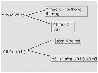 Ý thức xã hội
Ý thức xã hội thông
thường
Ý thức lý
luận
Ý thức xã hội
Hệ tư tưởng xã hội xã hội
Tâm lý xã hội
 
