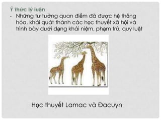 - Những tư tưởng quan điểm đã được hệ thống
hóa, khái quát thành các học thuyết xã hội và
trình bày dưới dạng khái niệm, phạm trù, quy luật
Học thuyết Lamac và Đacuyn
 