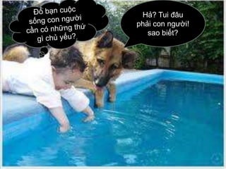 Hả? Tui đâu
phải con người!
sao biết?
 