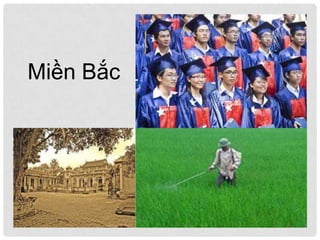 Miền Bắc
 