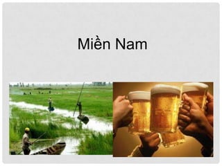 Miền Nam
 